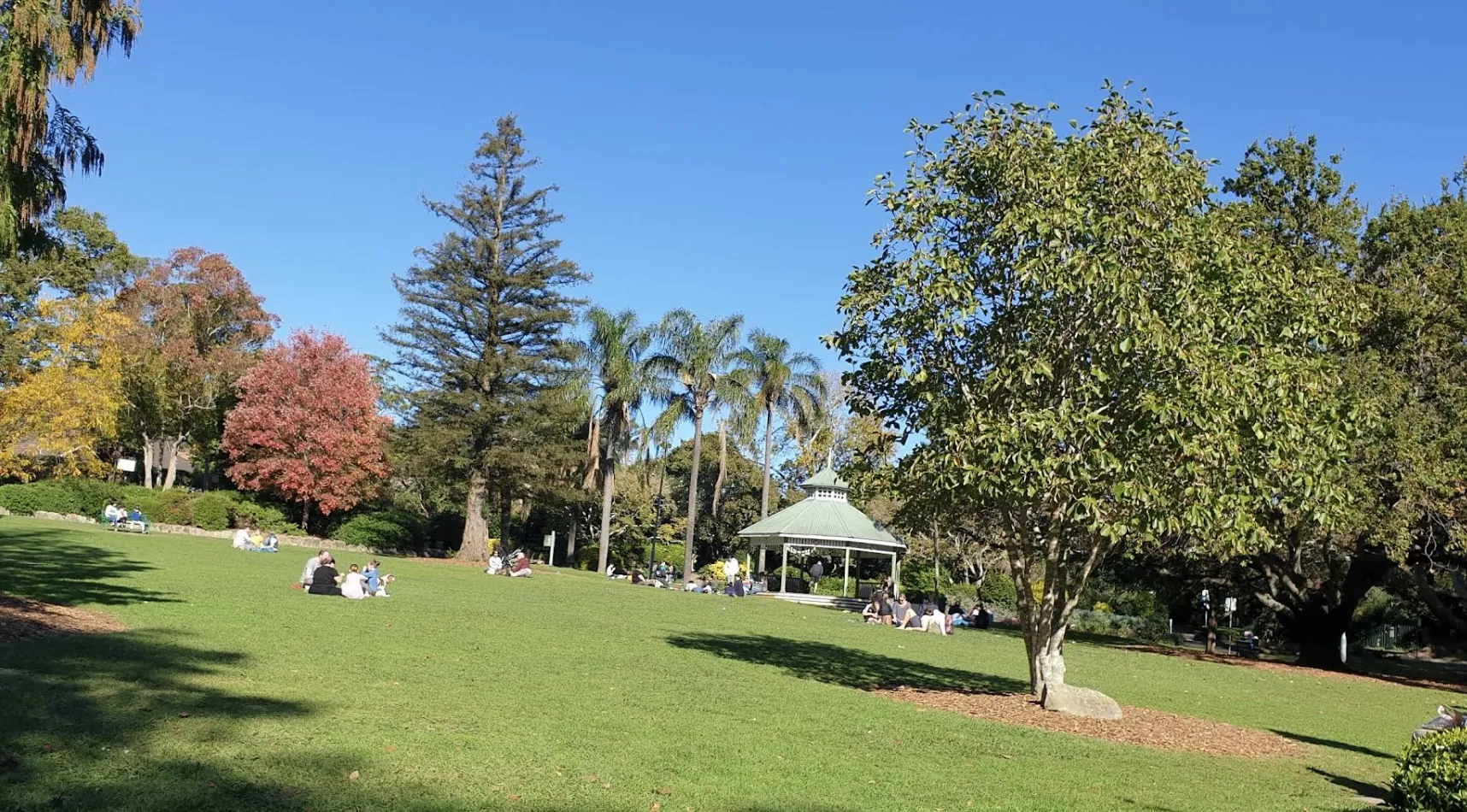 Sydney parkland used for local NDIS support